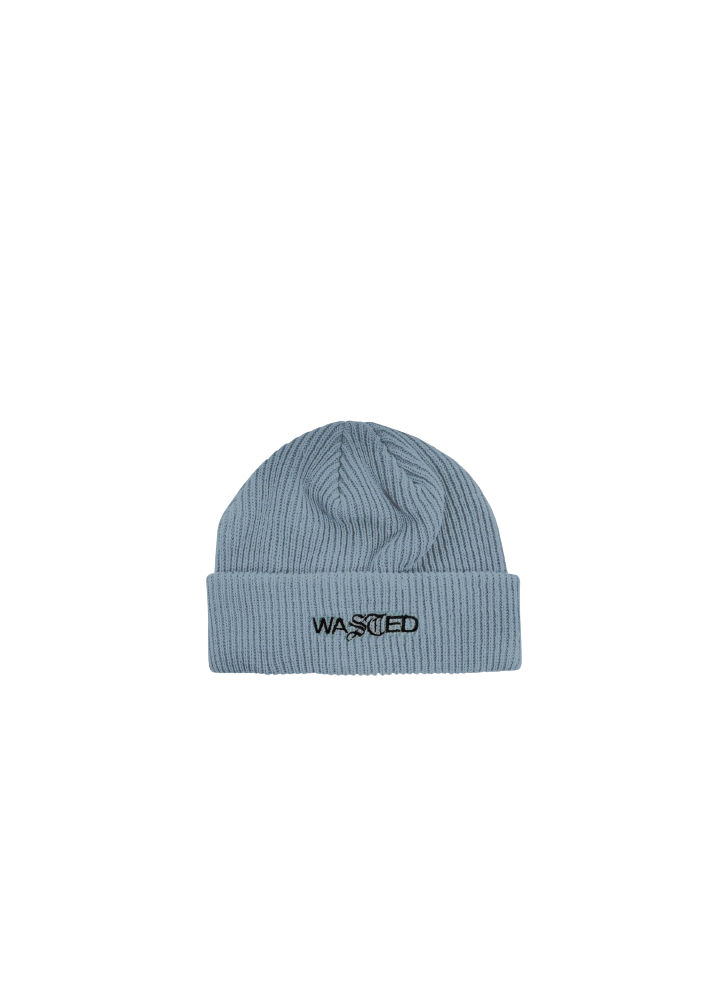 wasted essential beanie