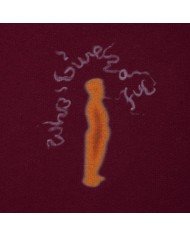 FUC smoked hood FUC smoked hood