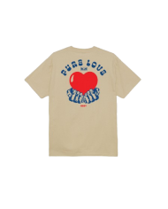 OBEY pure love t-shirt