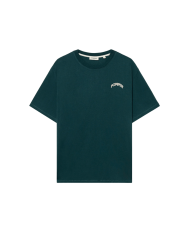 pompeii foutain tee