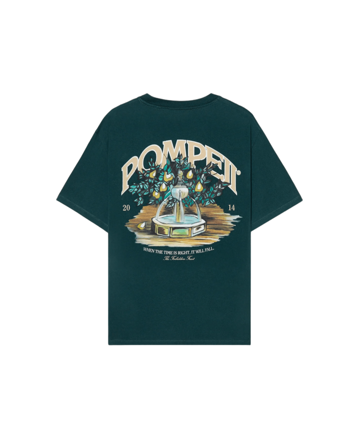 pompeii foutain tee