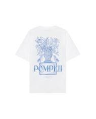 pompeii foutain tee